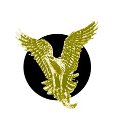 B44 Osprey CHROME GOLD COLOURED English Pewter on an Air Freshener fits on a Vent Clip Kit Decoration