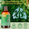 LETSCOL Organic Mullein Drops for Lung Cleanse, Powerful 1700mg Mullein