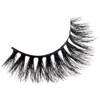 jeffreiafreelash false lashes (bossy)