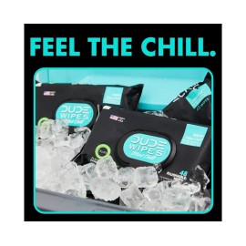 DUDE XL Flushable Wipes Mint Chill 400 Wipes, 8 Packs