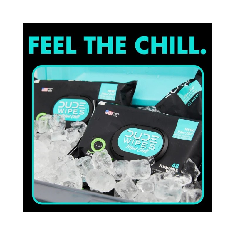 DUDE XL Flushable Wipes Mint Chill 400 Wipes, 8 Packs
