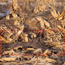 Avery Blades Black Canada Goose Super Flag Decoy (71543)