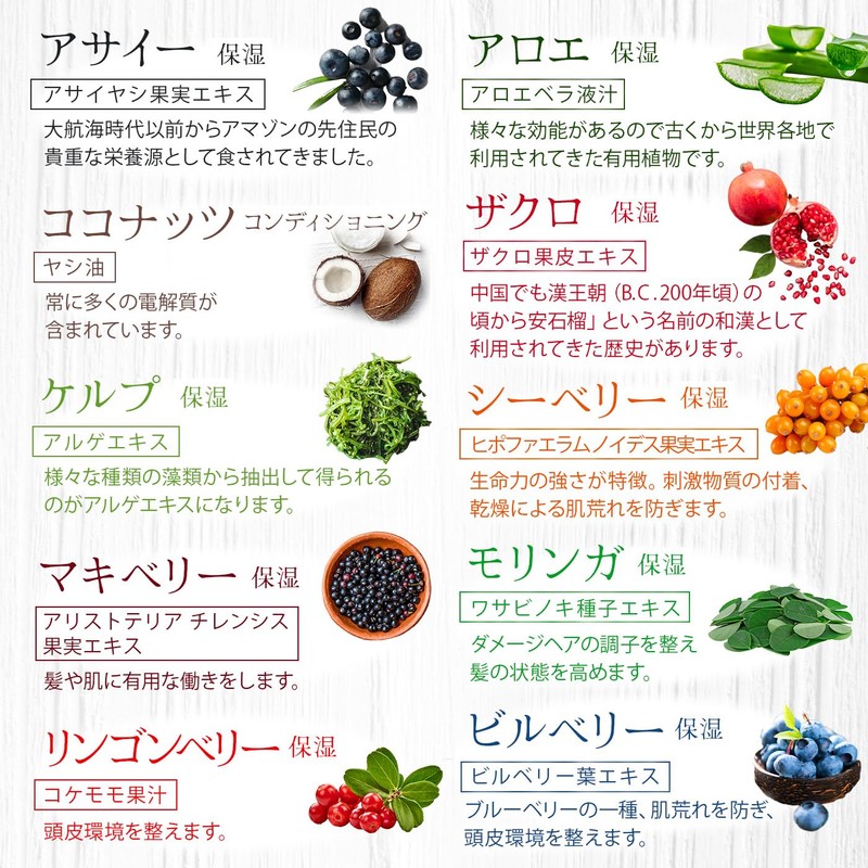95% Natural Ingredients Superfood Lab [Ultraviolet Ray] P Barrier [Refresh]