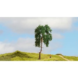 NOCH® Pine, detailed model tree, 15 cm high, perfect for model railway track gauges H0, TT, N, Z as well as for crafts, DIY and wargaming