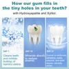 Remineralizing Gum with Nano-Hydroxyapatite Gum & Xylitol – Sugar-Free Mastic