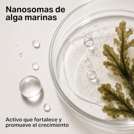 PICOPICO Estática Gel Transparente de Cejas Acabado Peinado