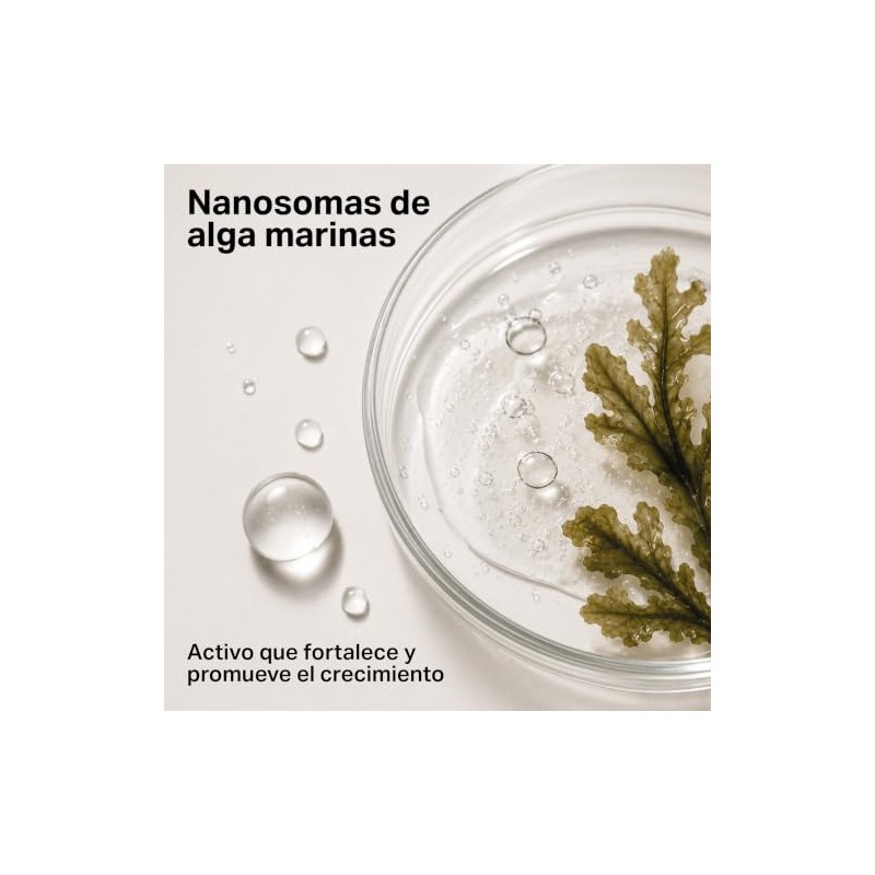 PICOPICO Estática Gel Transparente de Cejas Acabado Peinado