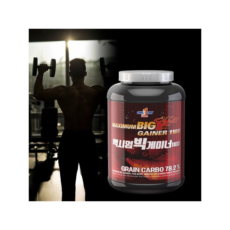 맥시멈 빅게이너 2kg Maximum Big Gainer 2kg