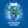 Radox Mineral Therapy Feel Awake 2-in-1 Shower Gel & Shampoo