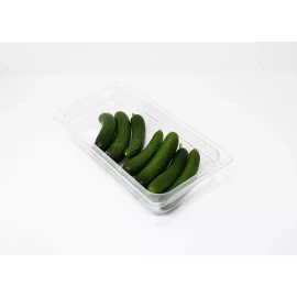 Dilitools Inserto De Policarbonato Tercio De 2.5  , 2.6 Qt  Dilitools