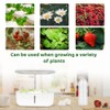 50Pcs Grow Domes 4cm/1.57in Inner Diameter, Transparent Replacement Pod Grow
