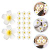 Pack of 20 Hawaiian Flower Hair Clips, Artificial Plumeria Hair