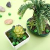 Mini Frogs Pack of 50 Mini Resin Frog Figures Garden