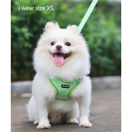 JdotMIN Plaid Dog Harness and Leash Set, Extra-Small/Small to Medium Dog and Cat Vest Harness No Pull, Escape Proof, For Walking Puppy and Kitten, For Travel and Car (Green-Adj, S)