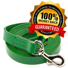 Logical Leather Dog Training Leash - Full Grain Leather Lead for Large Dogs - Green