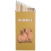 Azeeda 12 x 'Kissing Capybara' Long 178mm Coloured Pencils/Pencil Set