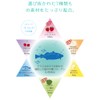 [Renewal] Small Molecular Marine Collagen Derived from the Skin of