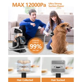 IdeaToy Dog Grooming Vacuum, 3L Large Canister Dog Vacuum for Shedding Grooming, Pet Grooming Kit for All Pet Fur, Dog Brush Dog Hair Vacuum, Deshedding Vacuum for Dogs, All in ONE 4000-12000Pa