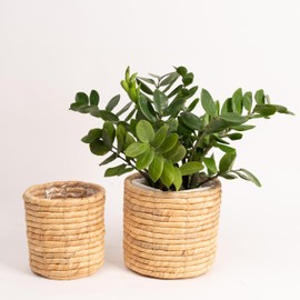 NEERGREVE Set of 2 Water Hyacinth Planter Pot Indoor for Plant, Flower Pot, Succulent Pot, Basket Planter, Decorative Pot Cover (Natural)