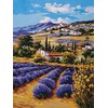 Grafitec Printed Tapestry/Needlepoint Canvas – Lavender Fields