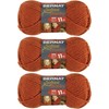 Bernat Softee Chunky Solid Yarn Bundle Super Bulky #6, 3