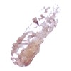 Karen Murrell Watermelon Scrub, 4g
