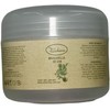 Mascarilla facial antioxidante con Aloe Vera Gel