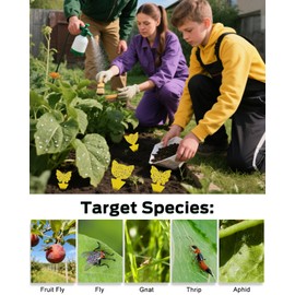 Carbelina Fruit Fly Traps for Indoors Sticky, Gnat Traps for House Indoor Plants, Fungus Gnat Sticky Trap, 100pcs, Non-Toxic, Odorless, Harmless to Vegetables, Fruits, Plants