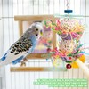 Conure Toys, Bird Hanging Foraging Shredder Toys, Soft Beak Chew