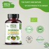 Moringa Oleifera Powder & Turmeric Root Powder with Black pepper