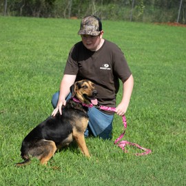 Country Brook Petz - Pink Bone Camo Martingale Dog Collar - Camouflage Collection Featuring Rugged Designs (1 Inch, Medium)