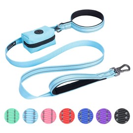 EXCELLENT ELITE SPANKER Strong Durable Nylon Dog Training Leash Traction Rope 5 Feet Long 1" Wide with Poop Bag Holder for Small and Medium Dog(Light Blue)