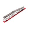 TEKTON 1/4, 3/8, 1/2 Inch Drive Hex Bit Socket Set