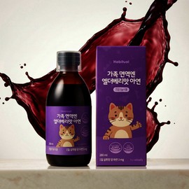 Kids Zinc Children's Zinc Elderberry Syrup Whole Family Immunity 280ml 3pcs / 키즈아연 어린이아연 엘더베리시럽 온가족 면역 280ml 3개