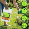 Nature’s Dome Pest Control Spray 1 Gallon | Natural Ant