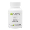WPLANTS Complex Antioxidants High Dose Extracts of Turmeric, Pomegranate, Japanese