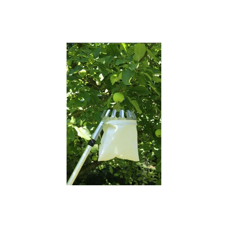 Gravidus Practical fruit feeder with telescopic rod, harvest aid