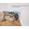 Blind Dog Harness Vest Collar Guide for Dogs Cataracts Eye