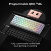 XVX M67 Tri-Mode Mechanical Keyboard With Spider Web IMD-Tech Keycaps,