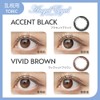 Angel Eyes One Day Toric UV Astronomy [Color] Accent Black