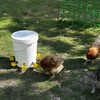 Idyfodol 4 Pcs Automatic Chicken Waterer Cups PVC Gravity-Switch No
