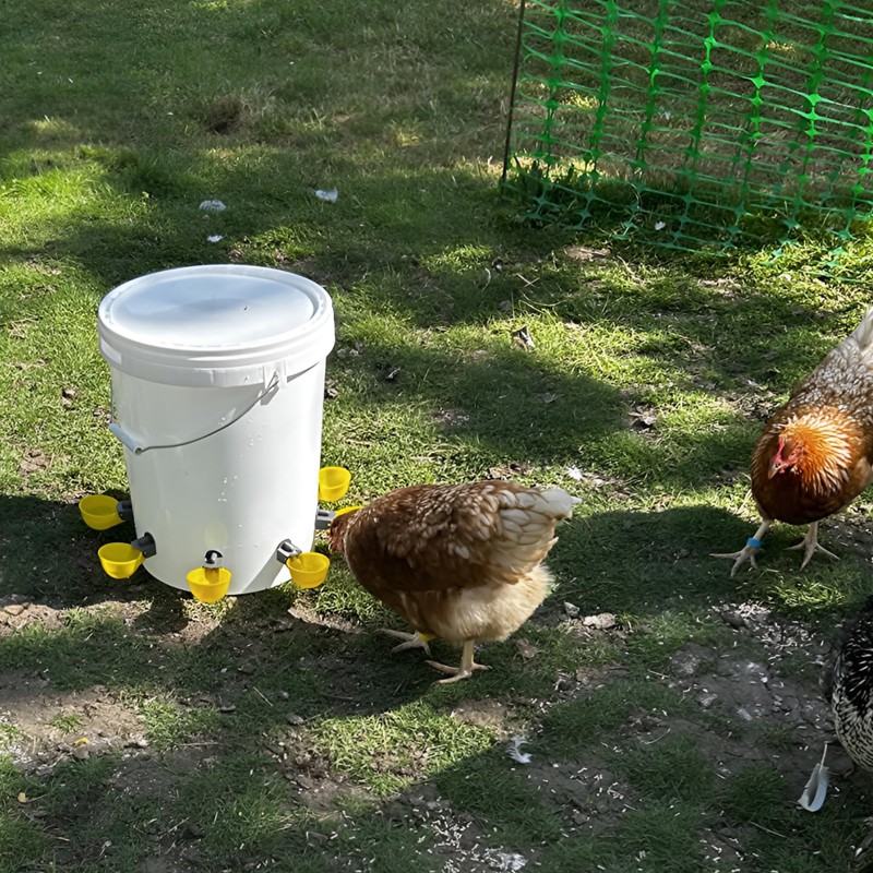 Idyfodol 4 Pcs Automatic Chicken Waterer Cups PVC Gravity-Switch No