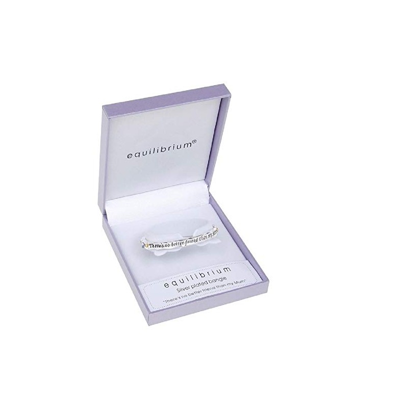 equilibrium 2 Tone Hinged Mum Friend Bangle
