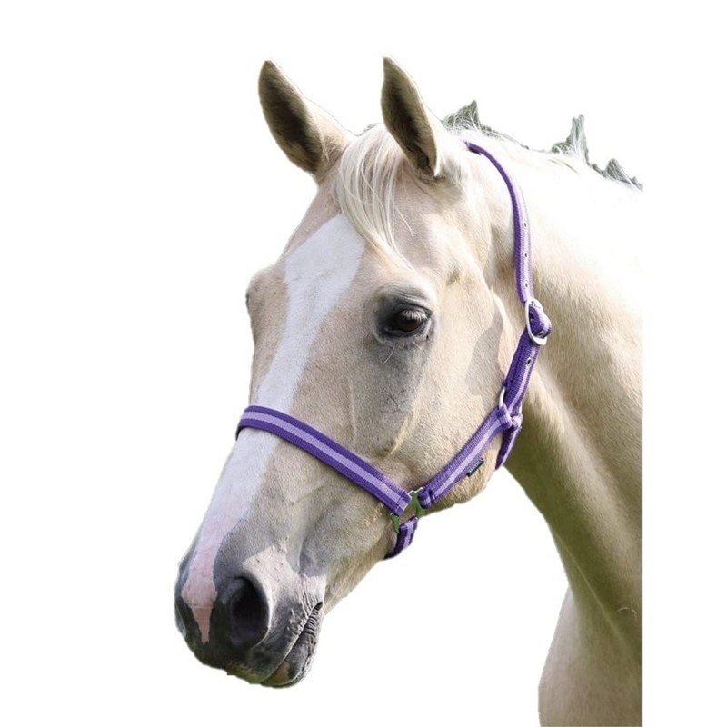 Shires Wessex Pony/Horse Headcollar Full Navy Blue