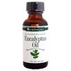 Lorann Eucalyptus Natural 100% Pure Essential Oil Aromatherapy 1 Fl.