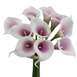 Angel Isabella Real Touch Calla Lily Artificial Flowers — Perfect for a Wedding, Prom, Christmas or Home Decor — Great as a Boutonniere, Corsage or Centerpiece - 10 Stems, White with Lilac Center