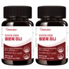 Premium non-heme iron iron supplement mini 90 tablets, 2 x total 6-month supply / 프리미엄 비헴철 철분제 미니 90정 2개 총 6개월분