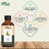 Organic Zing Avocado (Persea Americana) Oil | Pure & Natural