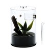 Jumping Spider Enclosure Starter Kit with Feeding Dish, Tarantula Terrariums