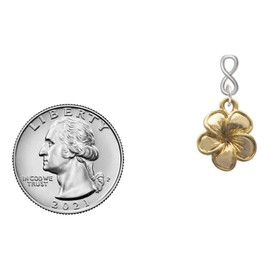 Delight Jewelry Goldtone Plumeria Flower Goldtone Infinity Post Earrings